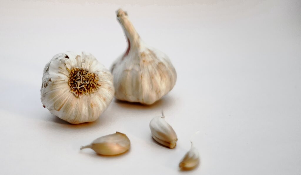 Using Garlic Ear Oil For Earaches