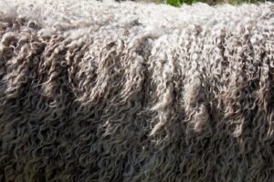 Avoid Wool To Avoid Itchy Skin