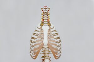 Reduce Your Back Pain With Backache Relief Tips