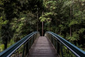 Go Outside And Enjoy Nature To Combat Sadness