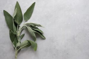 You Can Use Sage To Whiten Your Teeth