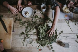 Dried Crushed Holly Basil Leaves Can Help To Whiten Teeth