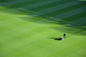 Avoid Mowing The Grass If You Have Allergies