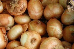 Eating Onions Can Help You Remember Things