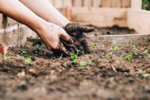 Gardening Can Be Therapeutic For Arthritic Pain