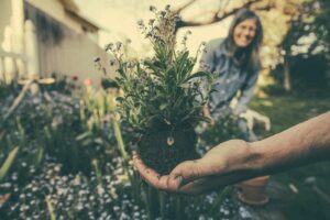 Gardening Is A Good Way To Relieve Stress