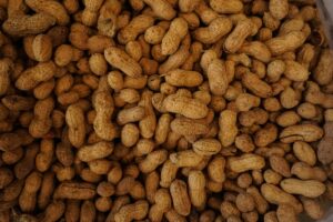 Food Allergies May Produce Symptoms That Resemble Tinnitus