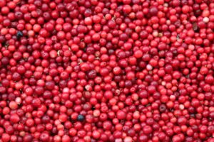 Consider Including Garlic And Fresh Cranberries In Your Diet If You Want To Avoid Yeast Infections