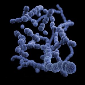 Vancomycin Resistant Enterococcus Symptoms - Causes and Risk Factors - Complications and Treatments