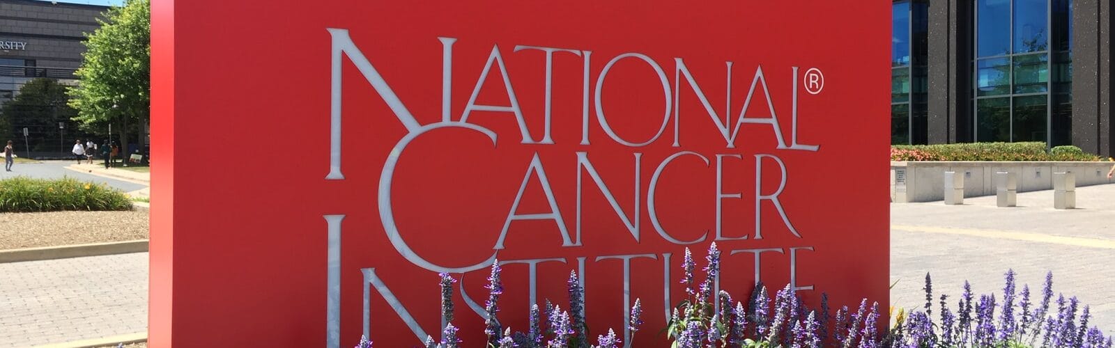 Cervical Dysplasia And Cervical Cancer Causes