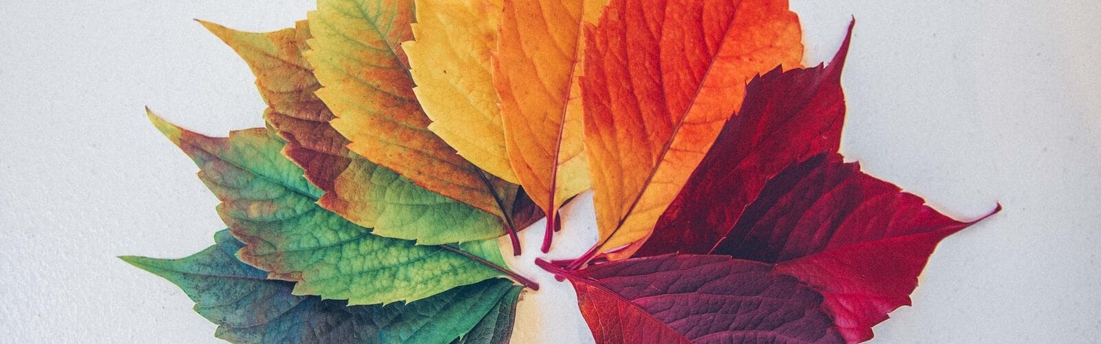 Signs And Symptoms Of Seasonal Affective Disorder