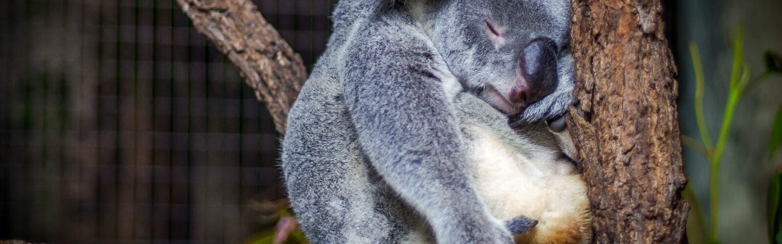 Having Insomnia During Pregnancy