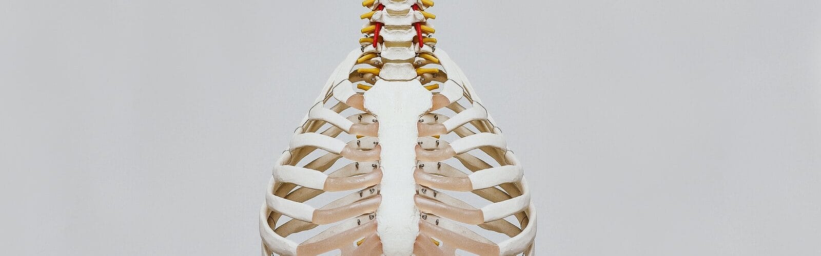 Reduce Your Back Pain With Backache Relief Tips