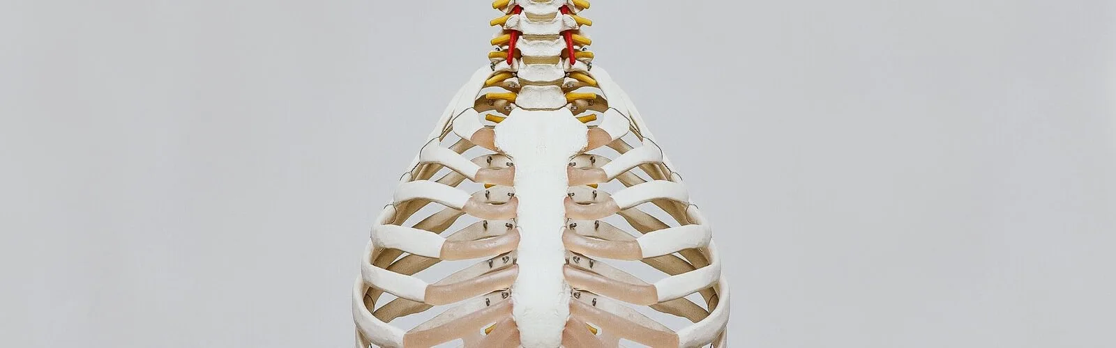 Reduce Your Back Pain With Backache Relief Tips