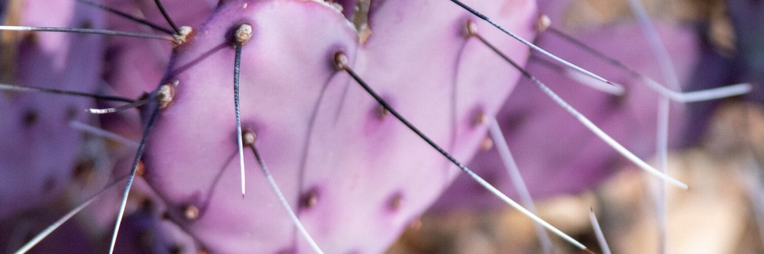 Follow These Tips For Help With Hemorrhoids