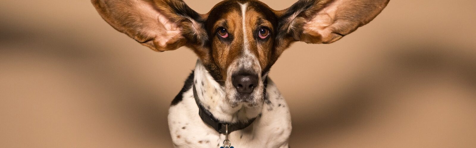 Important Advice To Help You Cope With Tinnitus