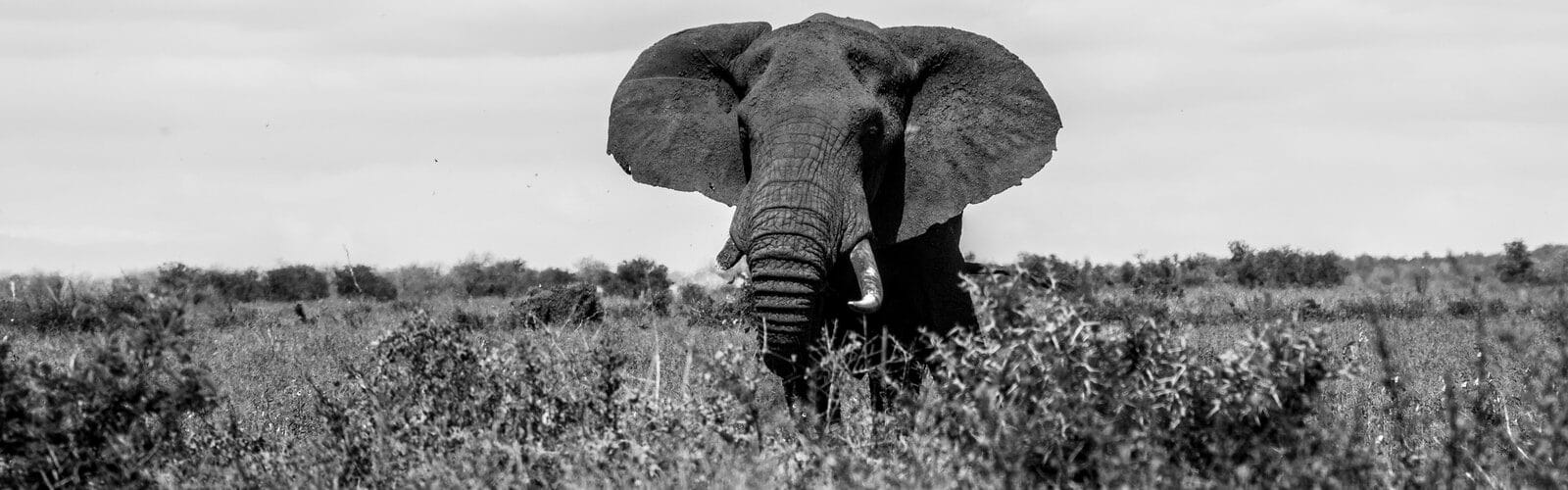 Tricks And Tips To Manage And Improve Your Memory