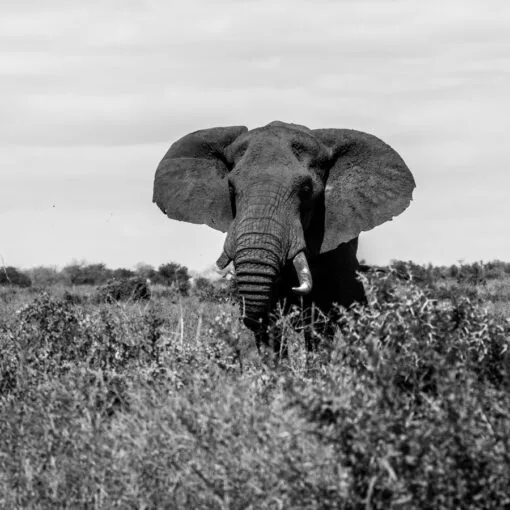 Tricks And Tips To Manage And Improve Your Memory