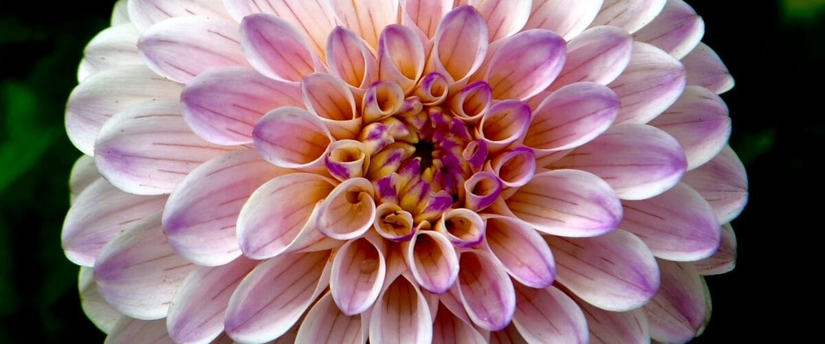 Advice For Coping With Allergies And Its Symptoms