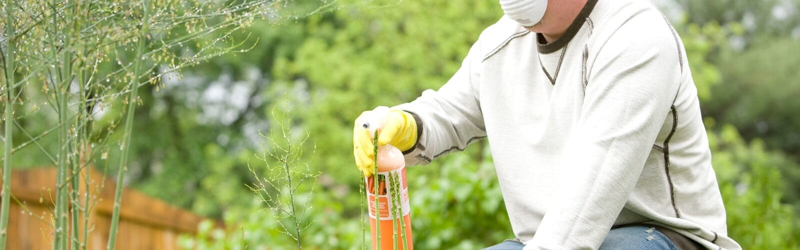 Lower Your Chances Of Getting Asthma With Preventative Care