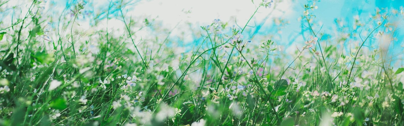 Allergy Causes And Symptoms - Relief Treatments For Allergies