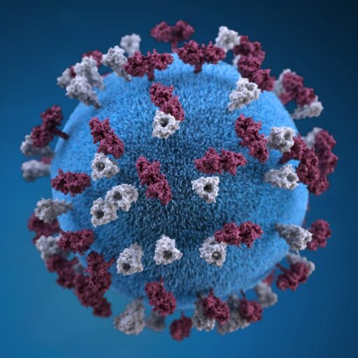 HIV Infection Causes AIDS - Treatments and Symptoms of Disease Progression