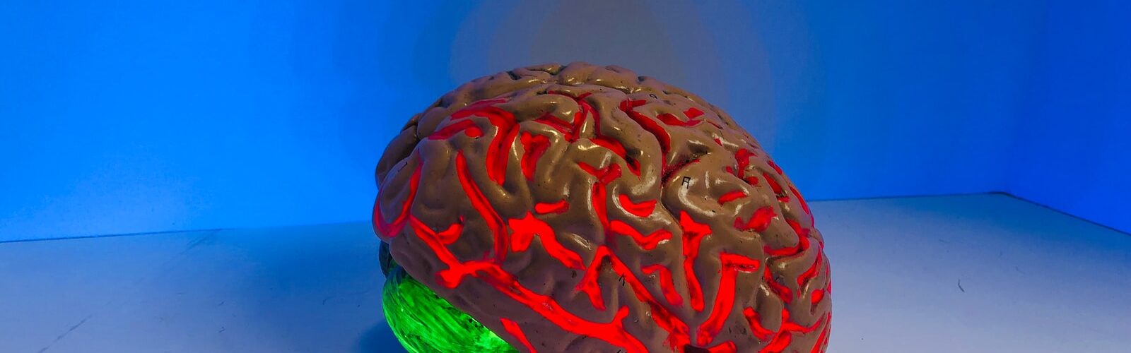 Meningitis Precautions and Treatments - Brain Inflammation Causes and Symptoms