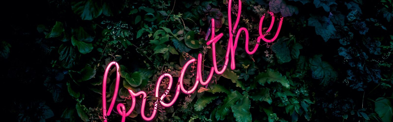 Chronic Inflammatory Lung Diseases - COPD Symptoms and Treatments