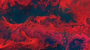 The obstruction of a blood vessel leading to the brain can lead to a stroke