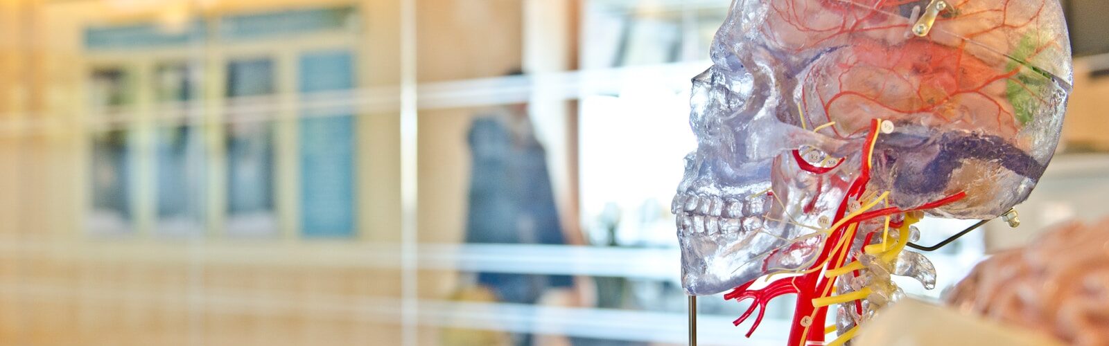 CNS Brain Seizure Disorders - Epilepsy Causes and Treatments