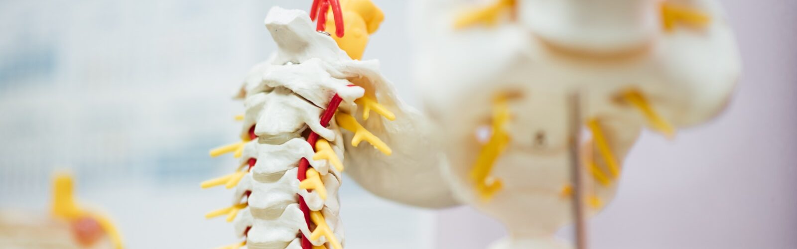 Chikungunya Symptoms of Causes and Risk Factors - Complications and Treatments