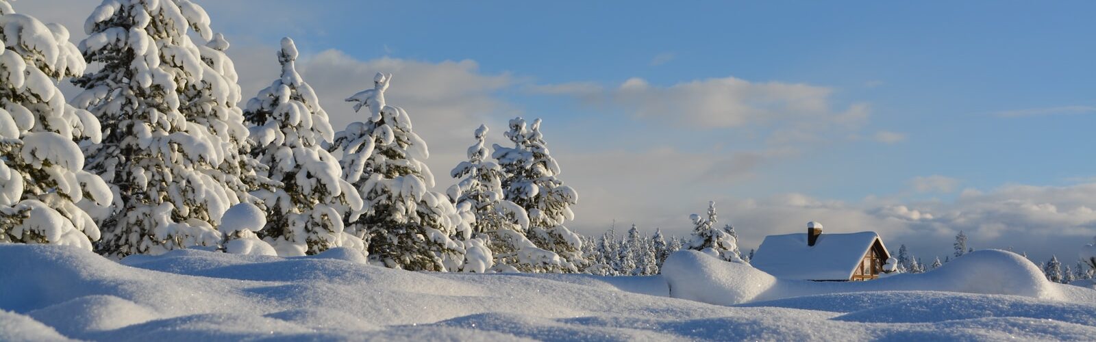 Croup Symptoms of Causes and Risk Factors - Complications and Treatments