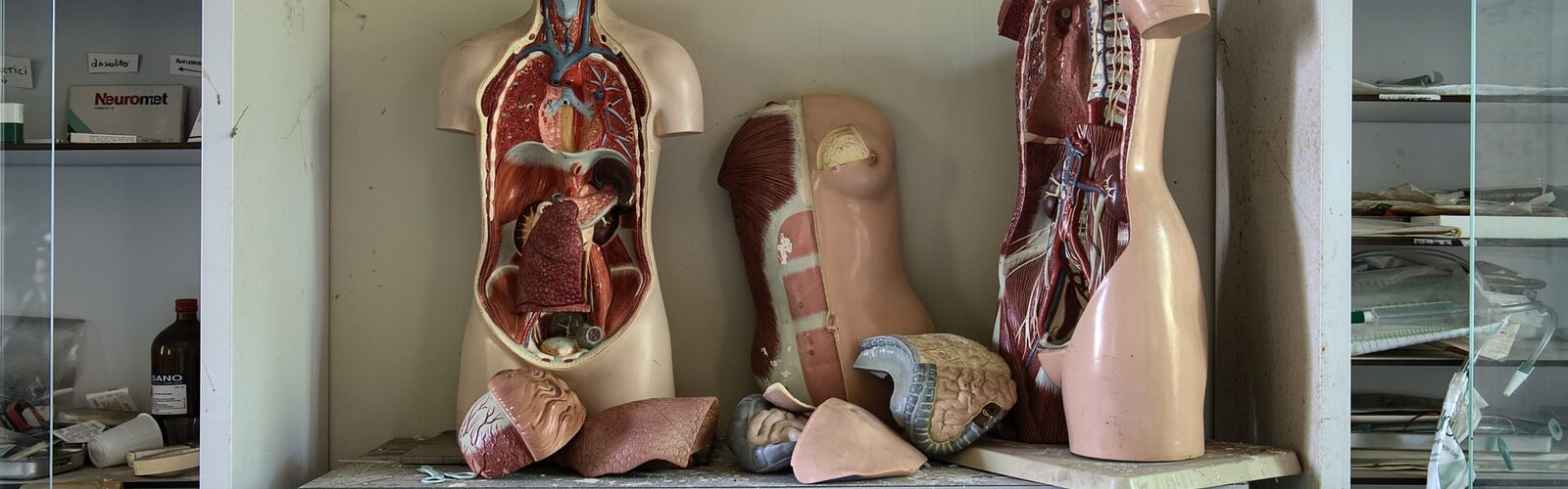 Hepatic Encephalopathy Symptoms and Causes - Prevention and Types of Treatments