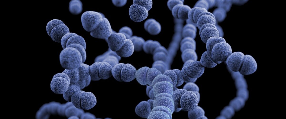 Vancomycin Resistant Enterococcus Symptoms - Causes and Risk Factors - Complications and Treatments
