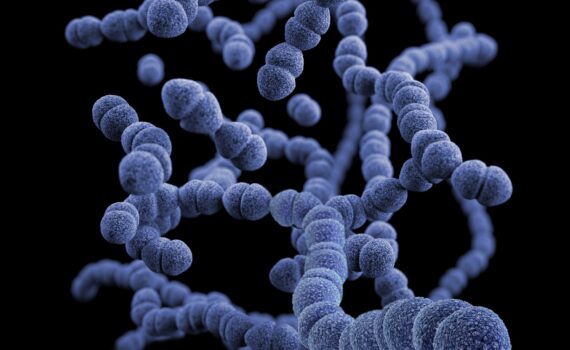 Vancomycin Resistant Enterococcus Symptoms - Causes and Risk Factors - Complications and Treatments