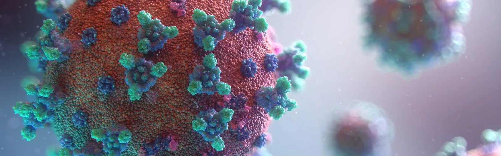 Marburg Hemorrhagic Fever Symptoms of Causes and Risk Factors - Complications and Treatments