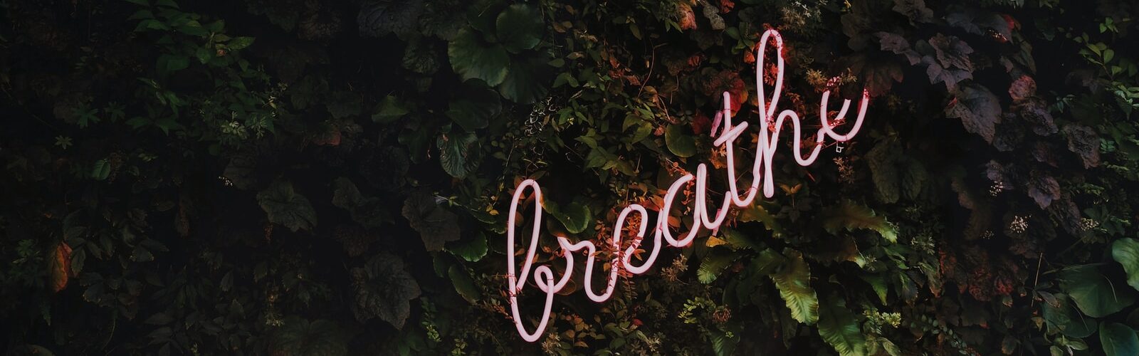 Mucocutaneous Lymph Node Syndrome Symptoms - Causes and Risk Factors - Complications and Treatments