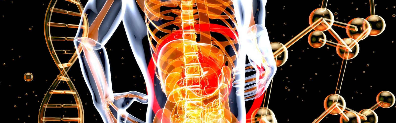 Serum Hepatitis Symptoms - Causes and Risk Factors - Complications and Treatments