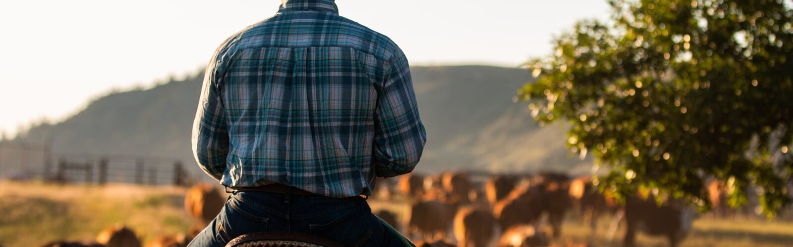 Causes and Symptoms of Bow Legs - Treatments and Prevention