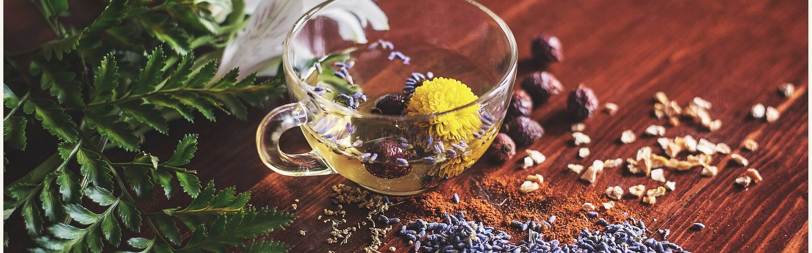 Herbal Colon Cleansing Treatment