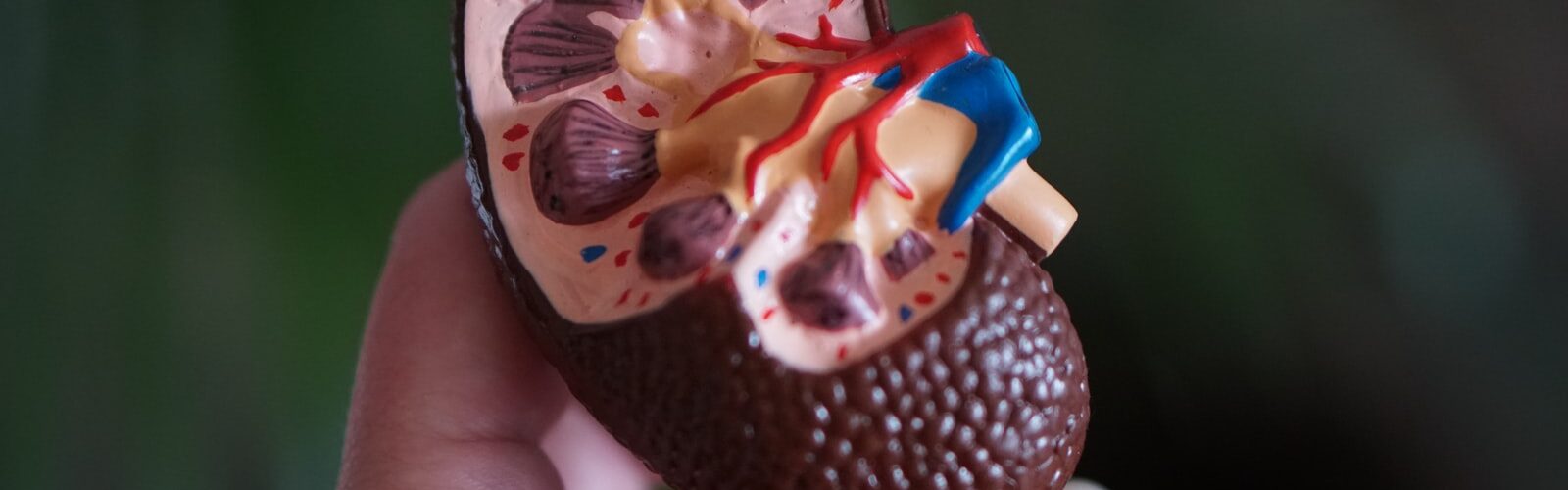 Living With Kidney Disease and Symptoms