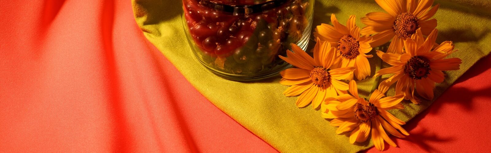 Healthy Kidney and Immune System with Blackcurrant Powder