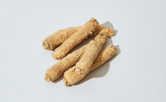 American Ginseng Extract - Herbal Remedy