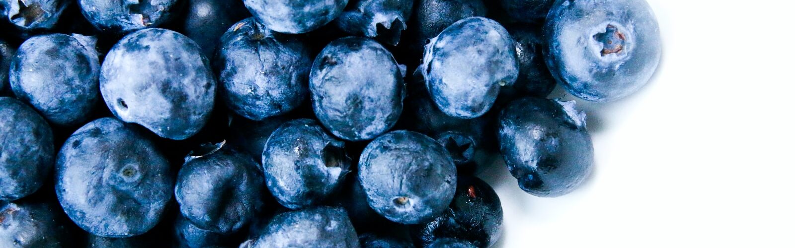 Boost Energy and Bone Health with Blueberry Extract