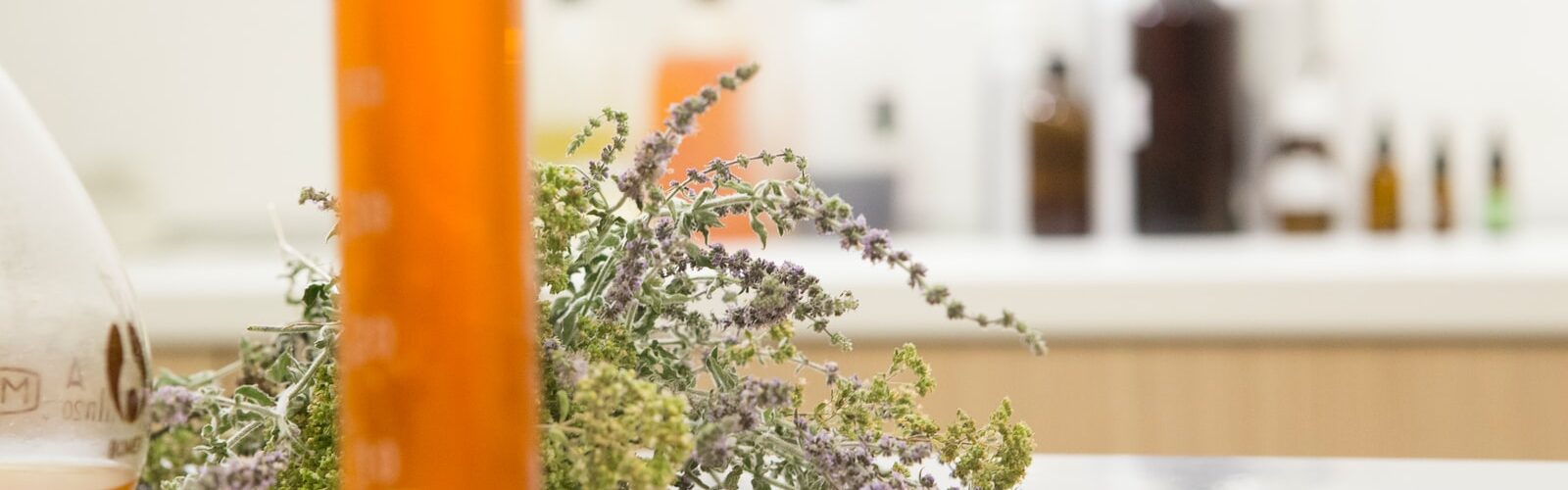 Healthy Digestive System and Bladder with Butterbur Extract