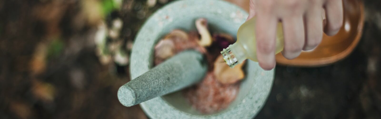 Better Digestive Health with Bearberry Extract