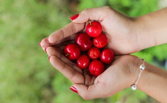 Superfoods With Antioxidants - Acerola Extract