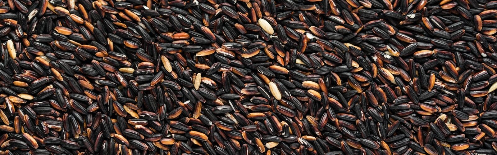Healthy Glucose and Cholesterol Levels with Black Rice Extract