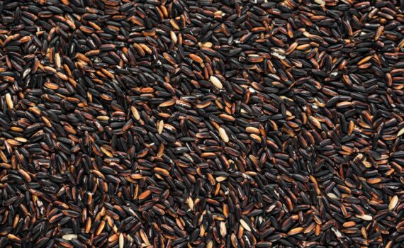 Healthy Glucose and Cholesterol Levels with Black Rice Extract