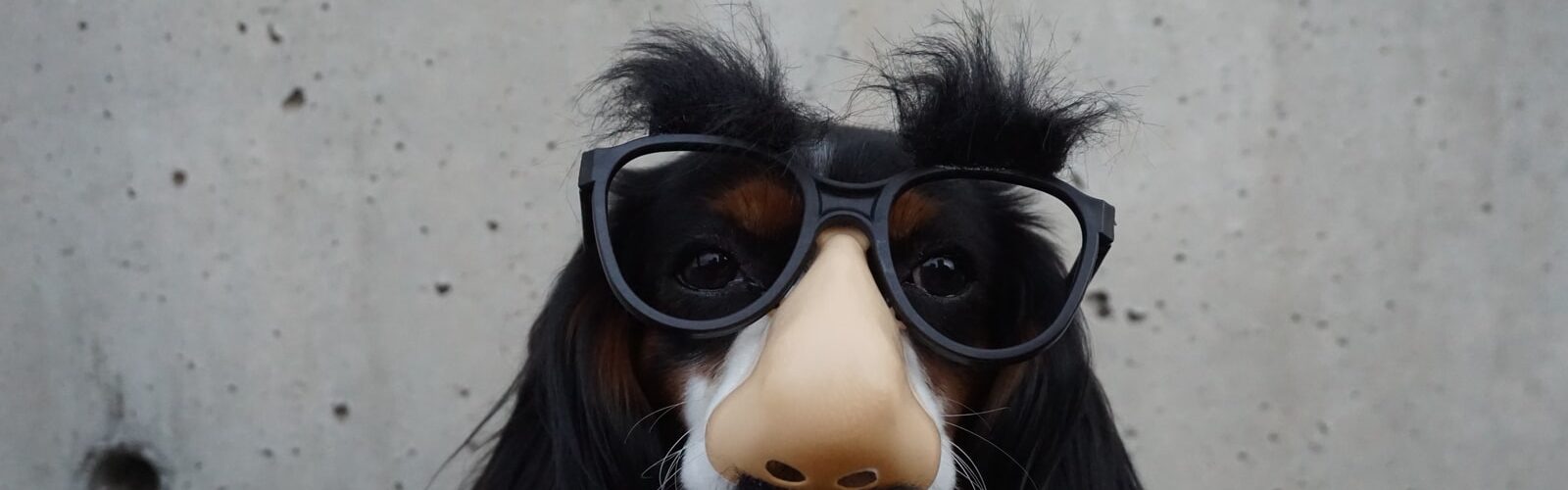 Nasal Polyps Treatments And Prevention